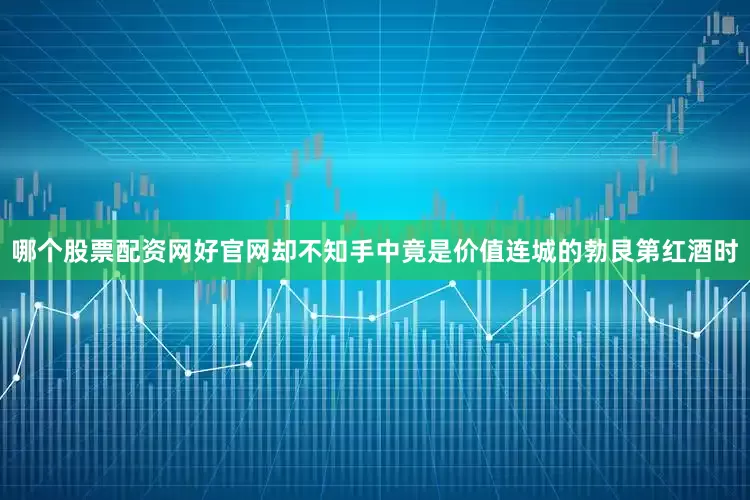 哪个股票配资网好官网却不知手中竟是价值连城的勃艮第红酒时